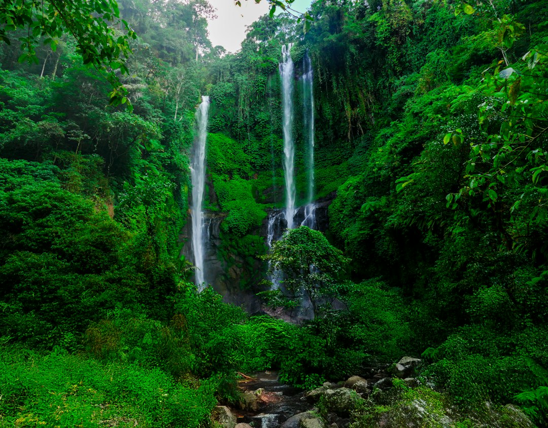 Sekumpul: sete cachoeiras de até 80m na selva de Bali - Kota Singaraja | Secret World Trip Planner