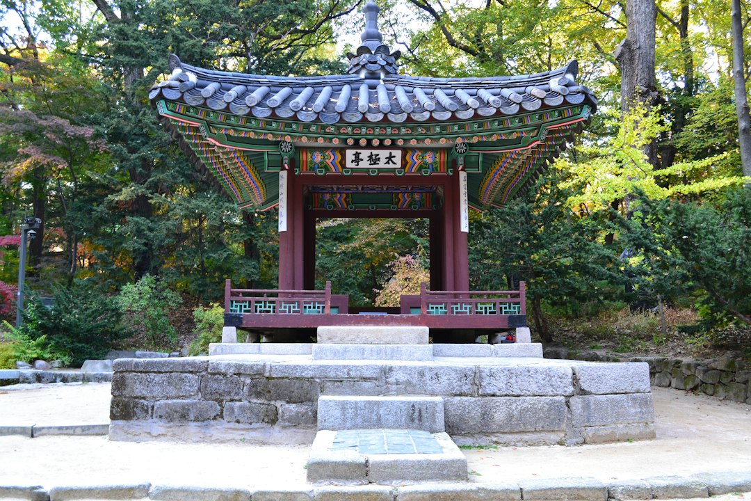 Huwon: il giardino segreto del palazzo Changdeokgung - Seoul | Secret World Trip Planner