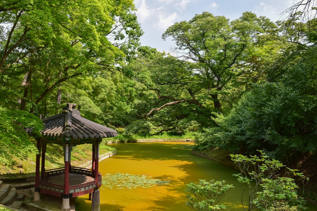 Huwon: o jardim secreto do palácio Changdeokgung - Seoul | Secret World Trip Planner