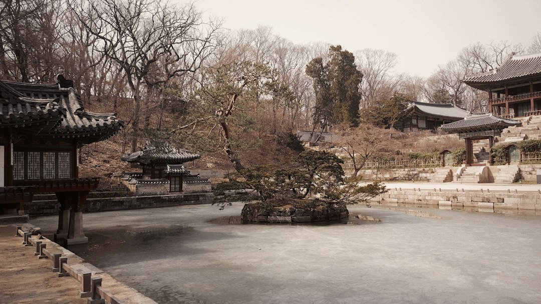 Хувон: секретный сад дворца Чангдоккун - Seoul | Secret World Trip Planner
