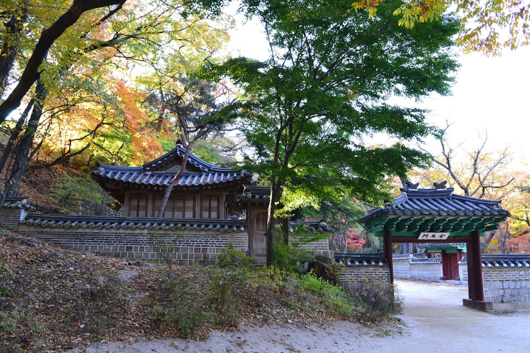 フウォン：昌徳宮の秘密の庭園 - Seoul | Secret World Trip Planner