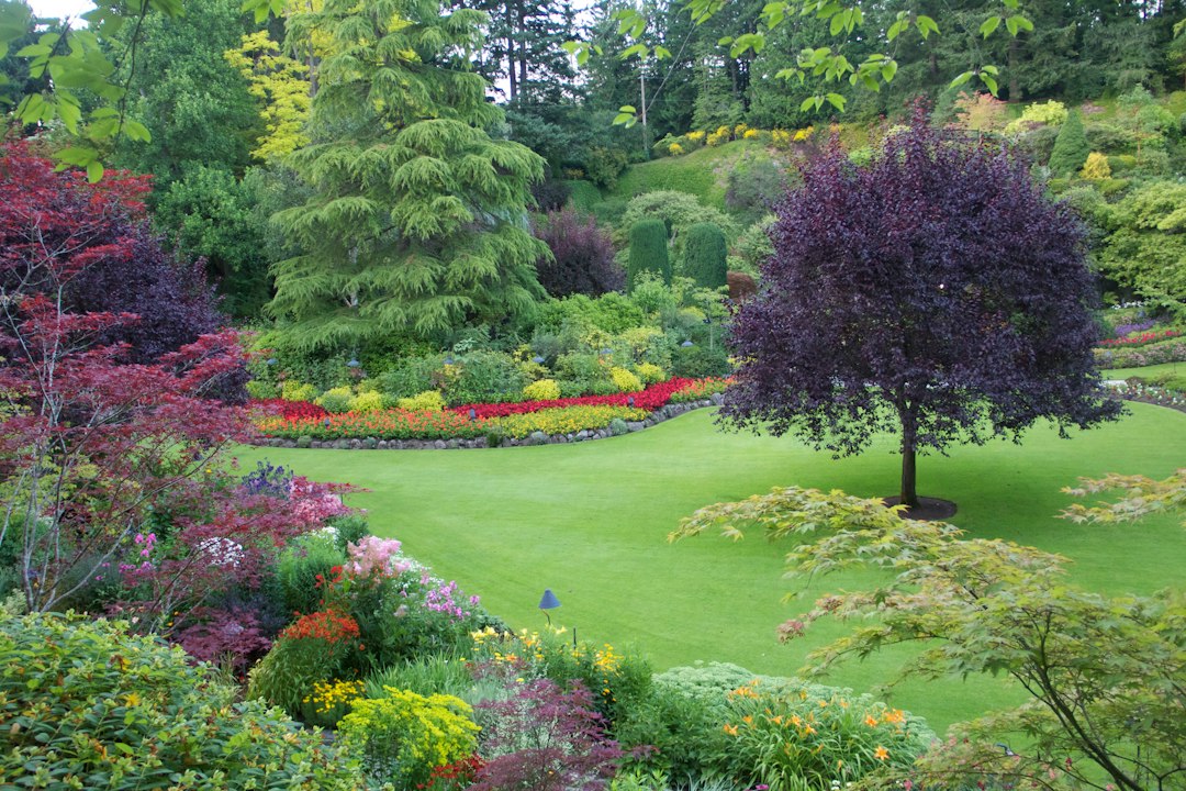 Sunken Garden: il giardino nella cava di Brentwood Bay - Brentwood Bay | Secret World Trip Planner