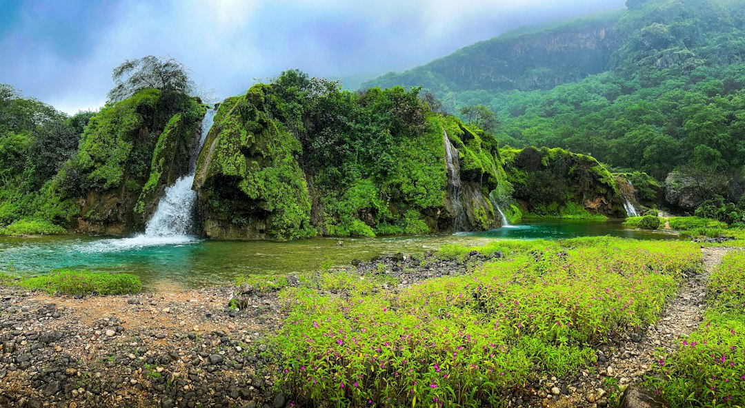 ʻAkaka Falls: Der 135 Meter hohe Wasserfall auf Hawaii - Honomu | Secret World Trip Planner