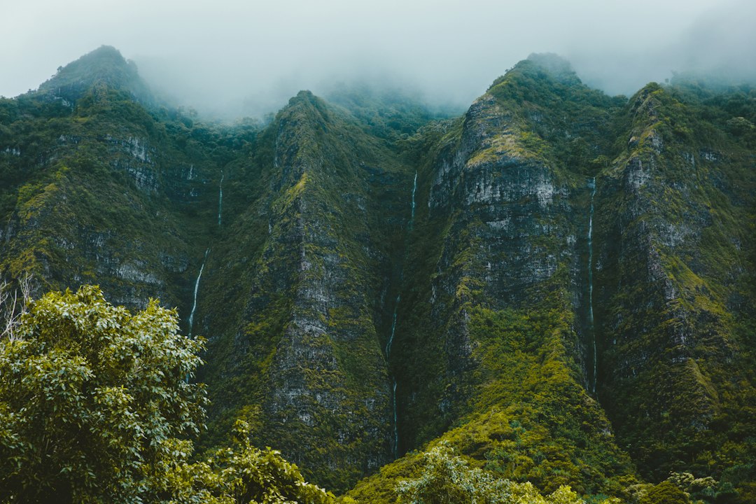 Cascata ʻAkaka: a impressionante queda de 135m no Havai - Honomu | Secret World Trip Planner
