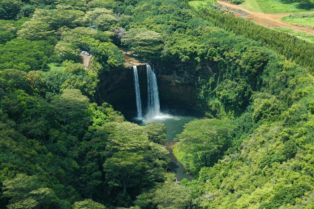 Водопад ʻАккака: 135 метров красоты на Гавайях - Honomu | Secret World Trip Planner