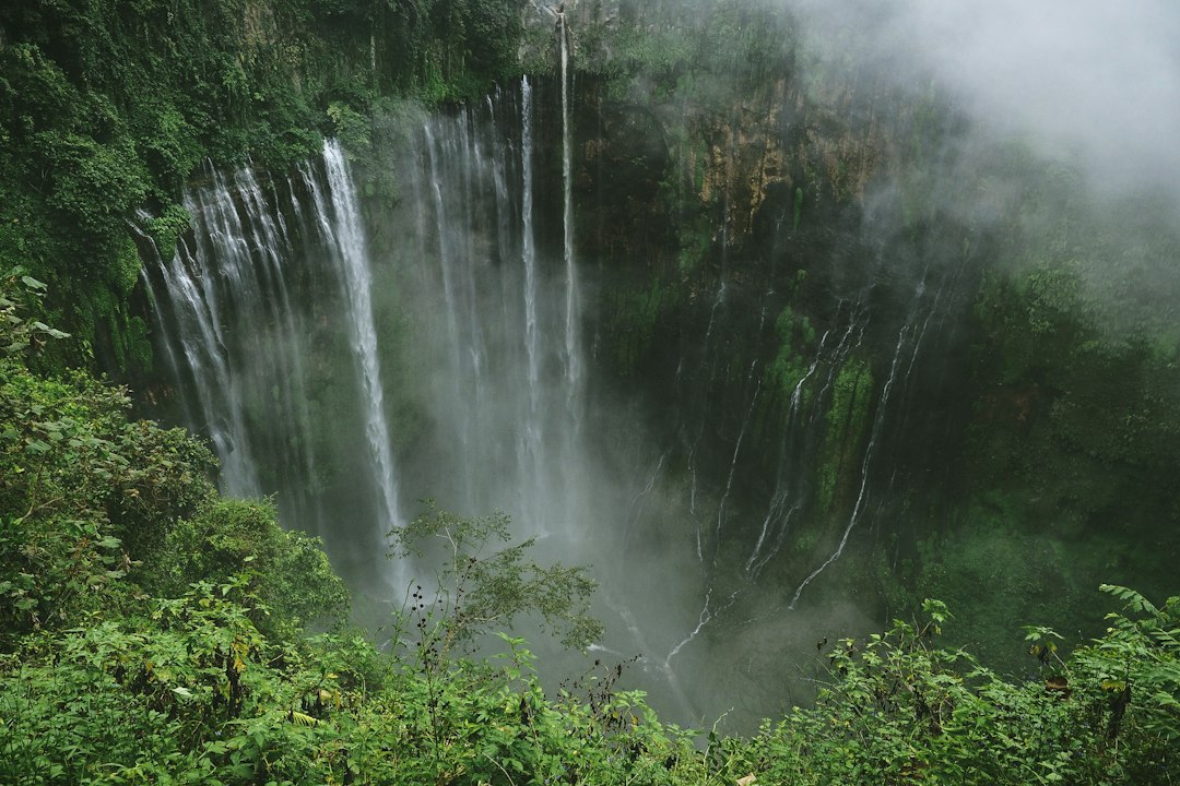 ʻAkaka Falls:夏威夷135米的壮丽瀑布 - Honomu | Secret World Trip Planner