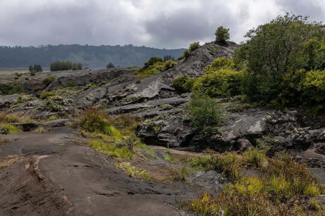 ブロモの砂の海：朝焼けの火山 - Kabupaten Probolinggo | Secret World Trip Planner