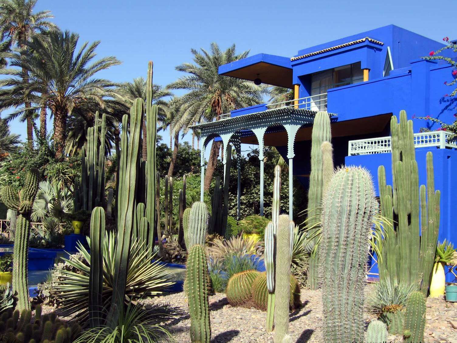 Rue Yves St Laurent Marrakech: Ogrody Majorelle - Marrakech | Secret World Trip Planner
