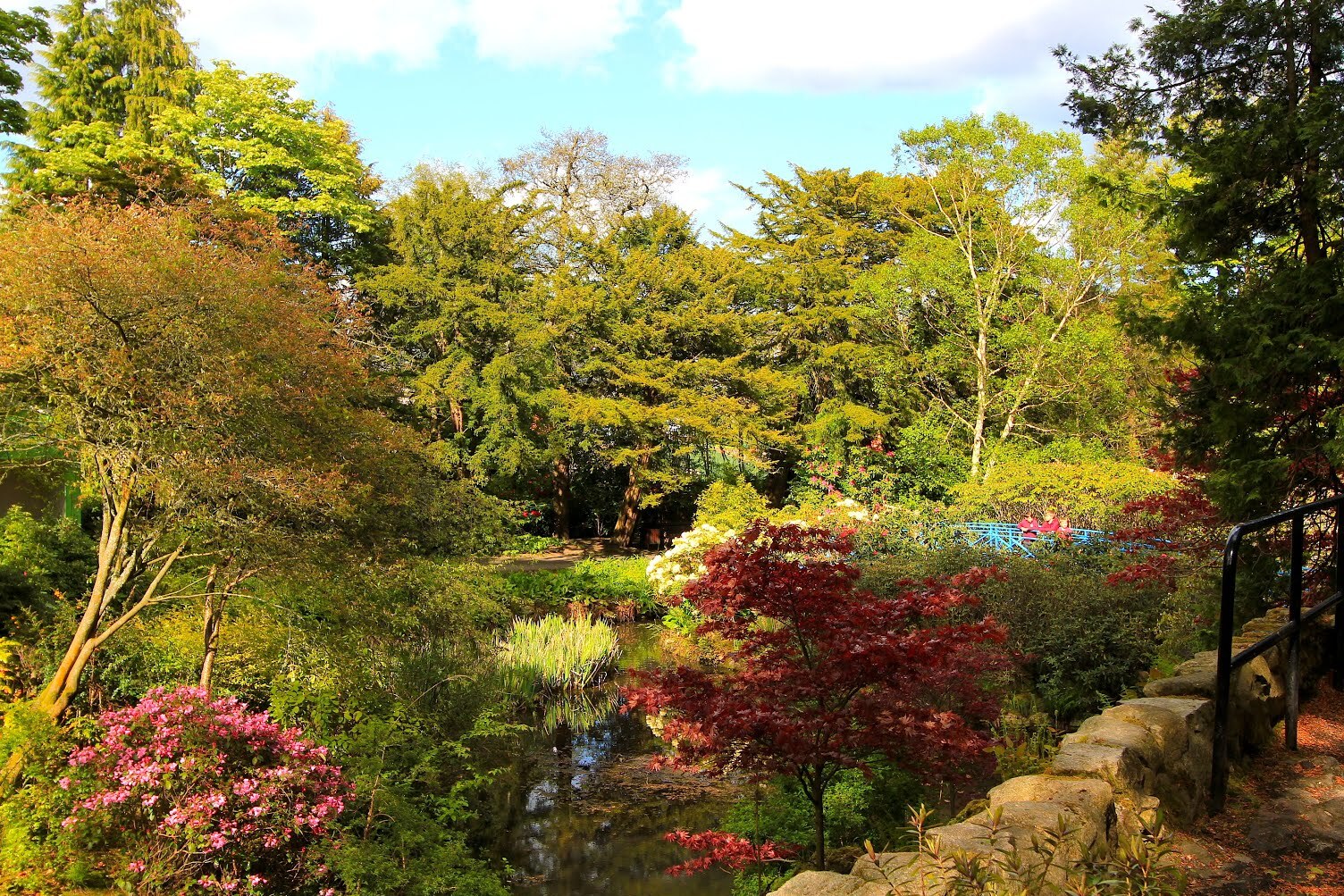 约翰斯顿花园阿伯丁 — Aberdeen