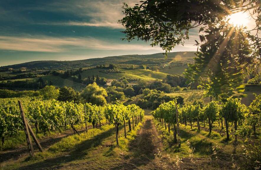 Amazing Sunset on the Brunello di Montalcino vineyards - 53024 Montalcino SI | Secret World Trip Planner