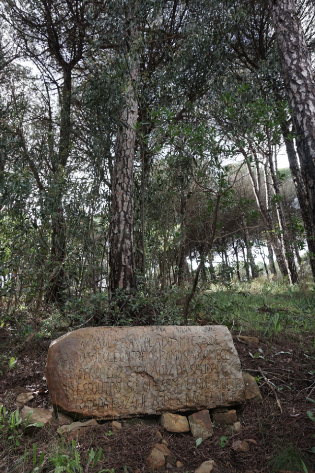 La senda de los rostros de piedra - Barão de São João | Secret World Trip Planner