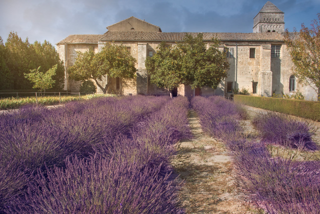 Van Gogha i klasztor Saint-Paul-de-Mausole - Saint-Rémy-de-Provence | Secret World Trip Planner