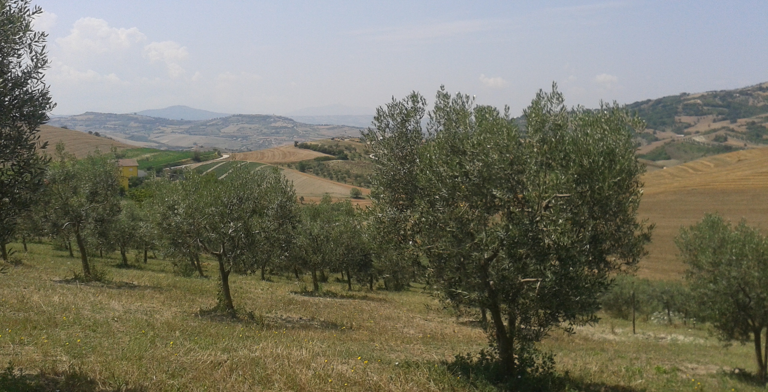 Olivo Ravece - Ariano Irpino | Secret World Trip Planner