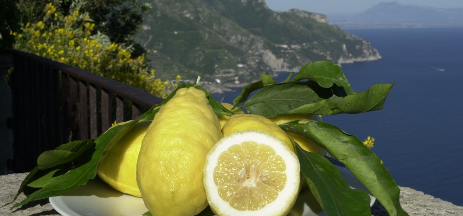 Amalfi lemon - Amalfi | Secret World Trip Planner