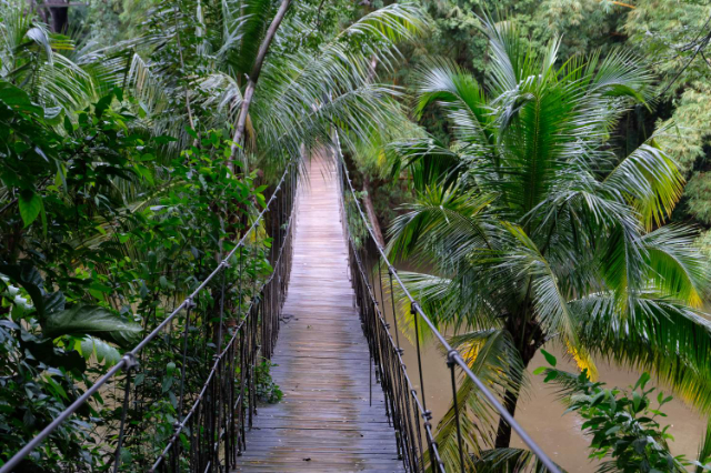 Gumbalimba公园 - West Bay | Secret World Trip Planner