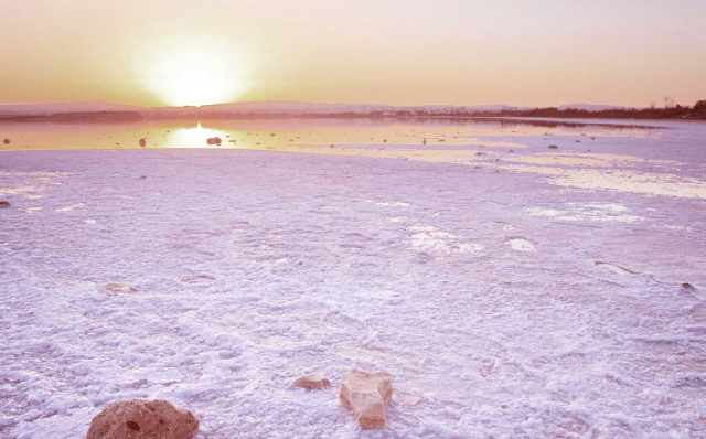 Lago Salado de Lárnaca - Larnaca | Secret World Trip Planner