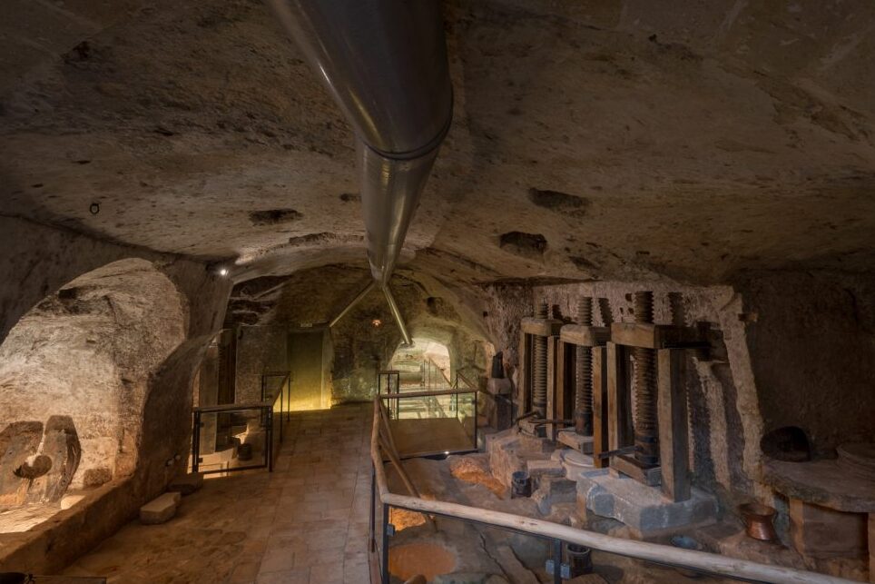 Moom, Olive Oil Museum of Matera - Matera | Secret World Trip Planner