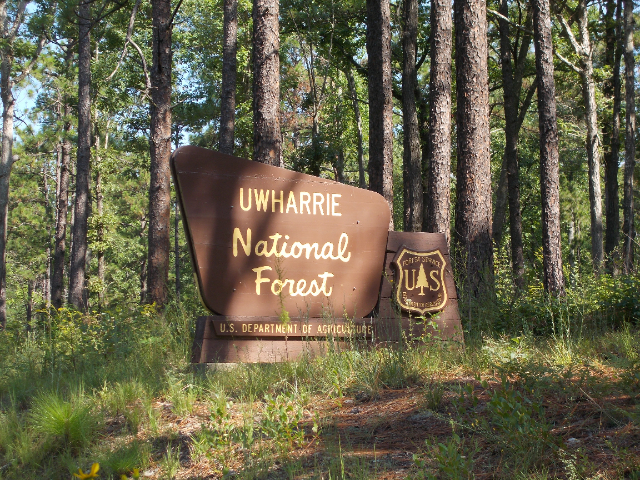 Uwharrie Nationaal Bos - Troy | Secret World Trip Planner