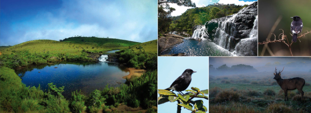 Horton Plains Nationaal Park | Secret World Trip Planner