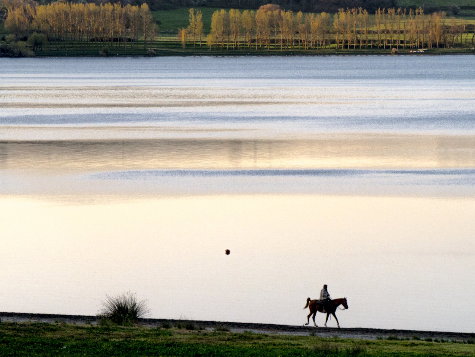 Lago di Martignano, un gioiello a pochi km da Roma - Lago di Martignano | Secret World Trip Planner