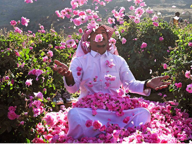Les champs de roses de Taif - Taif | Secret World Trip Planner
