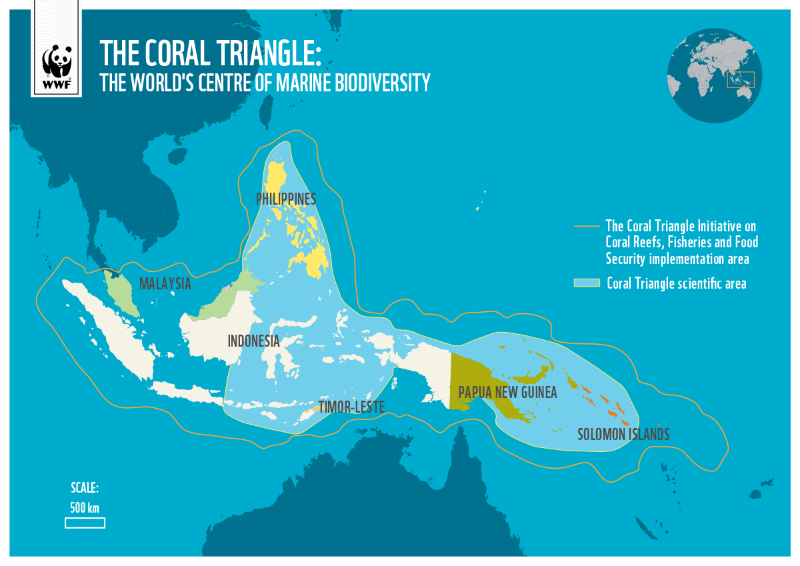 Le Triangle de Corail | Secret World Trip Planner