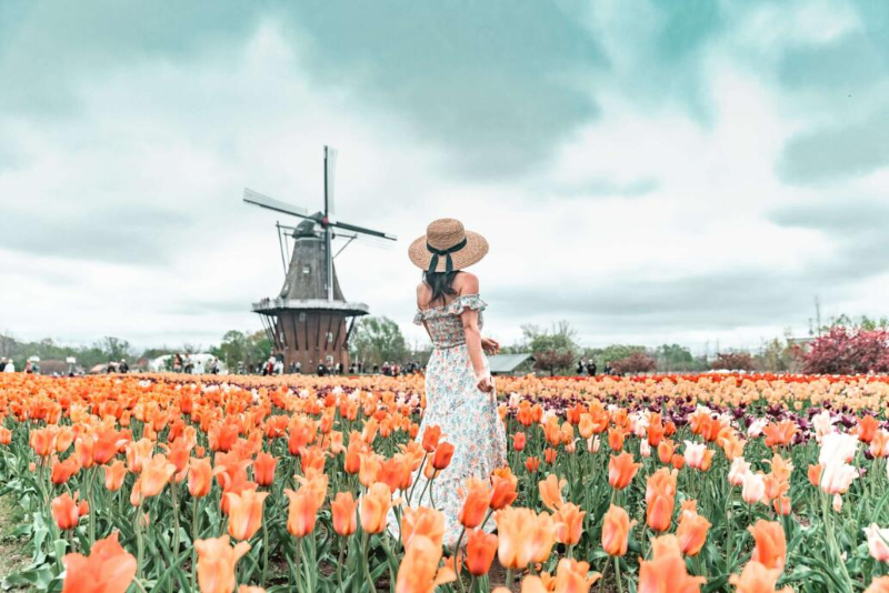 Tulpenfestival - Holland | Secret World Trip Planner