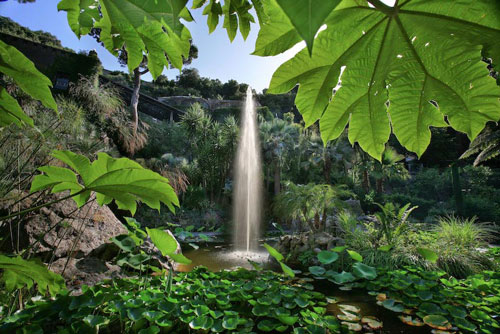 Ischia i ogrody La Mortella - Forio | Secret World Trip Planner