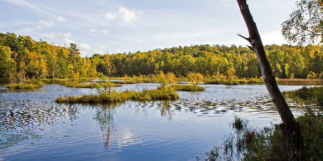 Änggårdsbergen reserva natural - Mölndal | Secret World Trip Planner