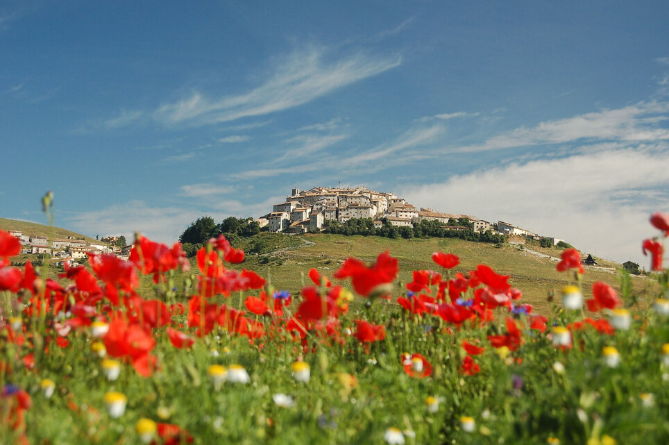 Castelluccio e la fioritura - Castelluccio | Secret World Trip Planner