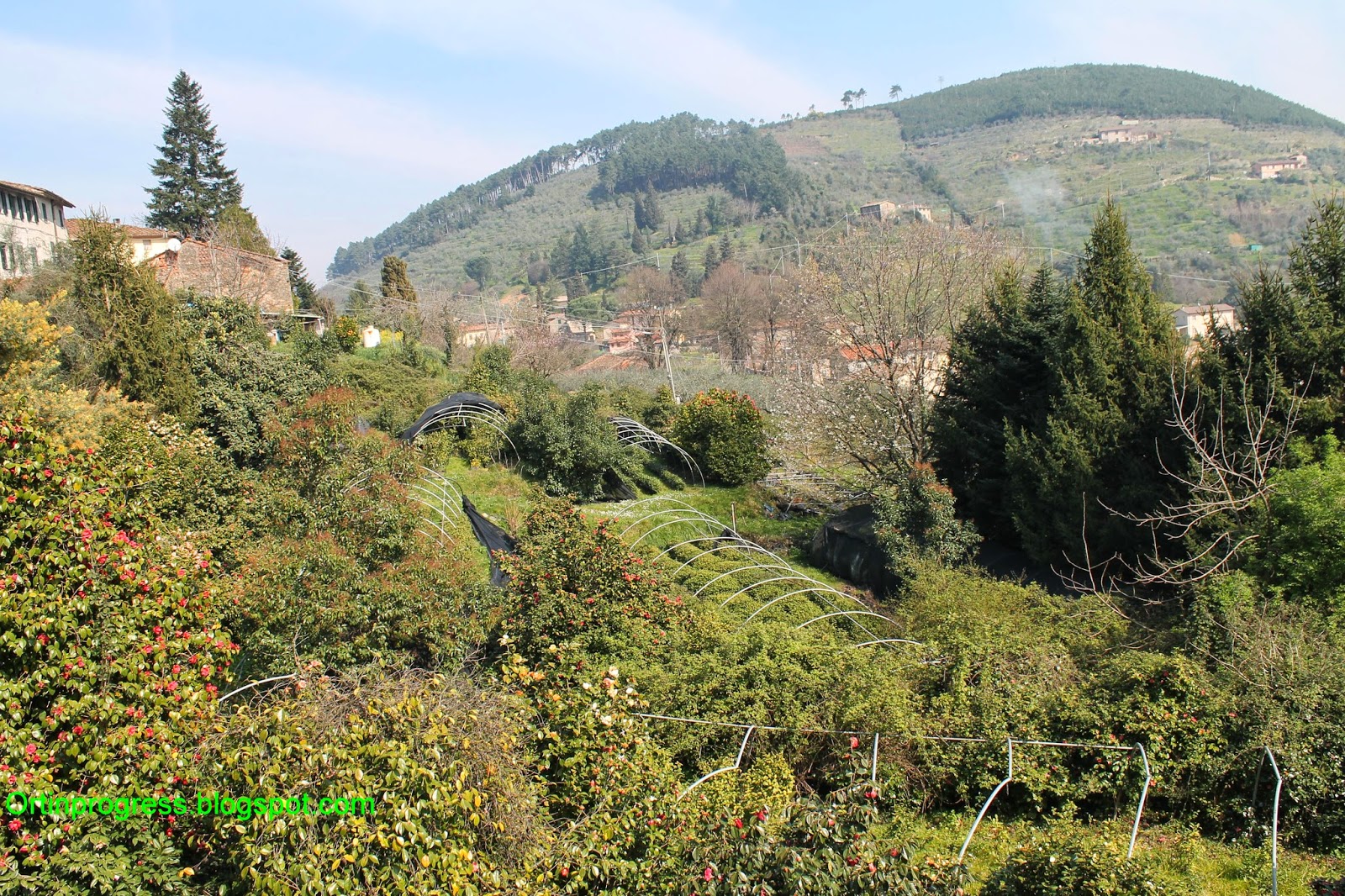 Antica Chiusa Borrini entre thé et beaux camélias - Capannori | Secret World Trip Planner