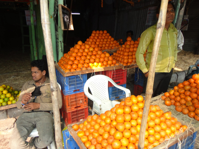 Nagpur, miasto pomarańczy - Nagpur | Secret World Trip Planner