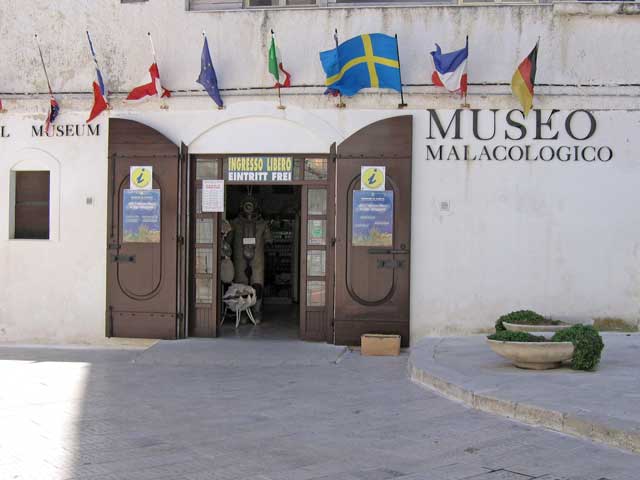 Museu Malacológico - Vieste | Secret World Trip Planner