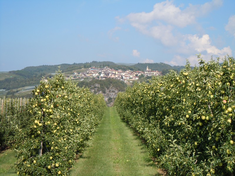 De appelboomgaarden van Val di Non - Val di Non | Secret World Trip Planner