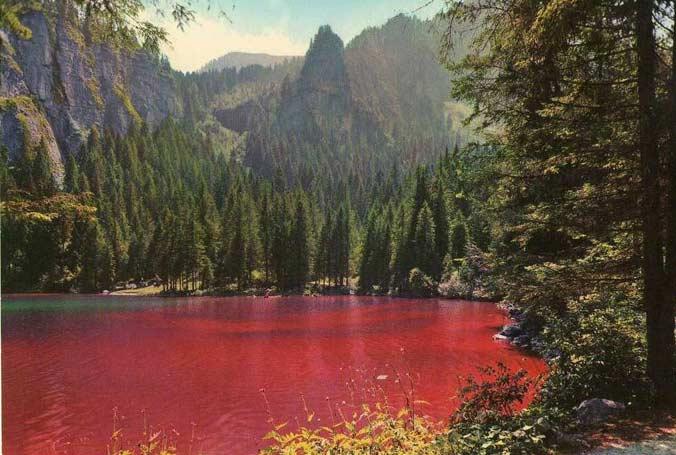 Lago Tovel - Lago di Tovel | Secret World Trip Planner
