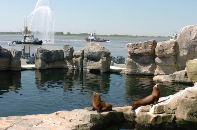 바닷가 동물원 - Bremerhaven | Secret World Trip Planner