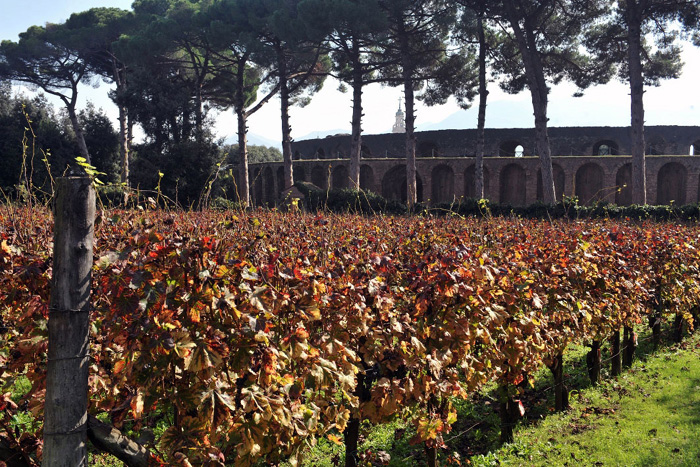 Bodegas Mastroberardino - Atripalda | Secret World Trip Planner