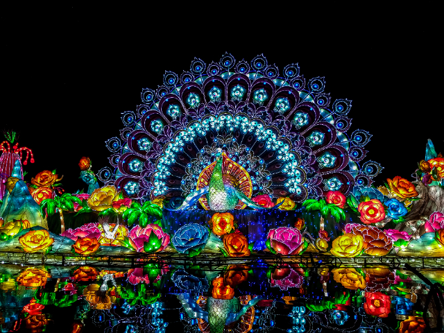 Dubai Garden Glow - Dubai | Secret World Trip Planner