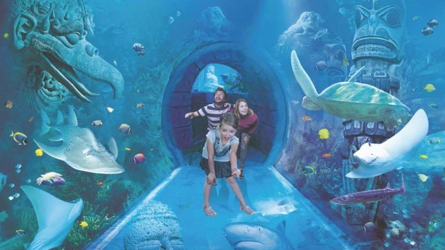 Acuario SEA LIFE Orlando - Orlando | Secret World Trip Planner