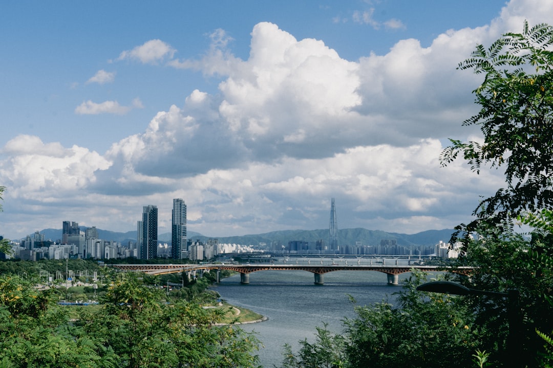 세계에서 가장 긴 강 5개: 서울에서 배우는 강의 이야기 - Seoul | Secret World Trip Planner