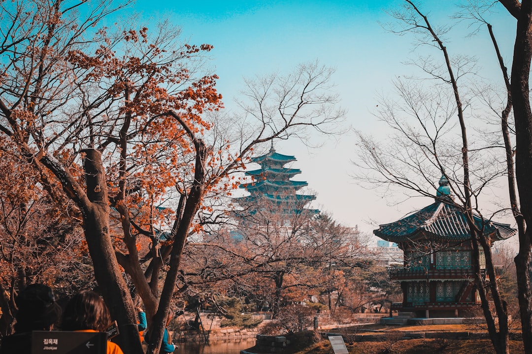 세계에서 가장 오래된 대학교들: 역사가 살아 숨쉬는 곳 - Seoul | Secret World Trip Planner