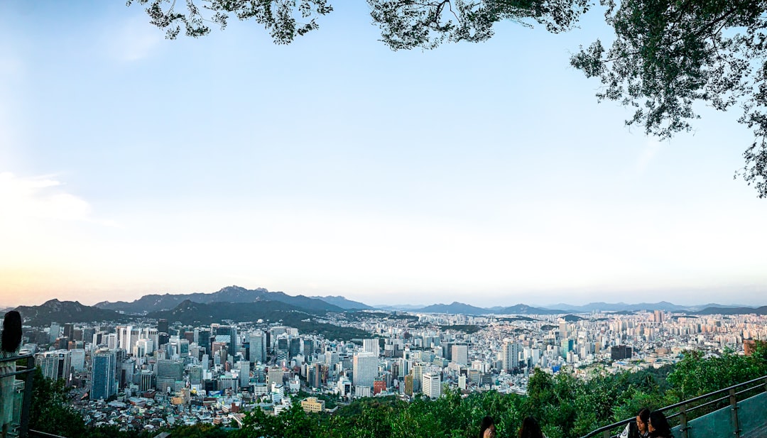 제너럴 셔먼: 세계에서 가장 큰 나무에 대해 알아야 할 5가지 - Seoul | Secret World Trip Planner