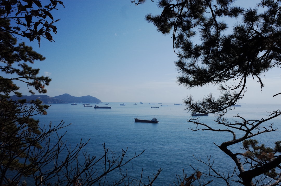 세계에서 가장 오래된 숲 FAQ: 부산에서 떠올린 질문들 - Busan | Secret World Trip Planner