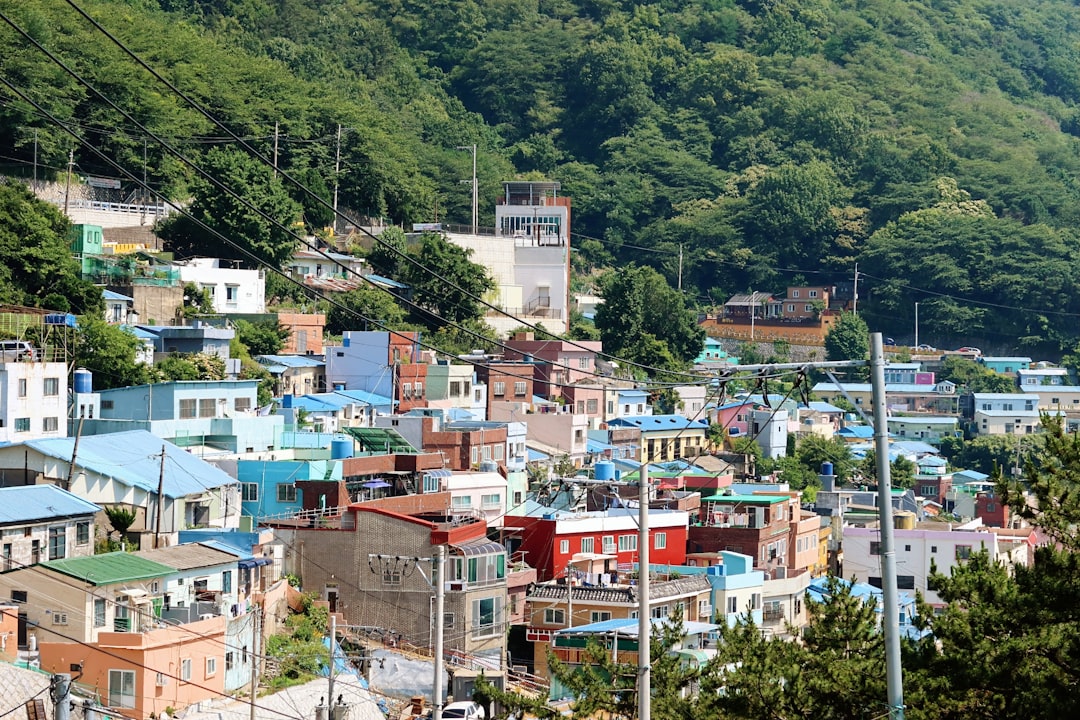 세계에서 가장 오래된 숲 FAQ: 부산에서 떠올린 질문들 - Busan | Secret World Trip Planner