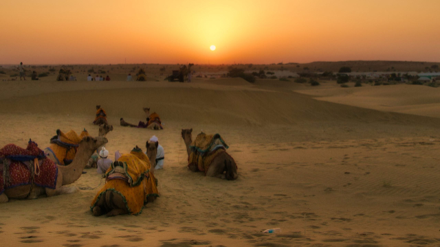 El desierto de Cholistán, - Cholistan Desert | Secret World Trip Planner