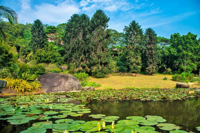 Мир тропического леса - Xiamen | Secret World Trip Planner