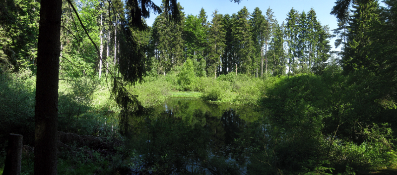 Lago senza fondo - Empfingen | Secret World Trip Planner
