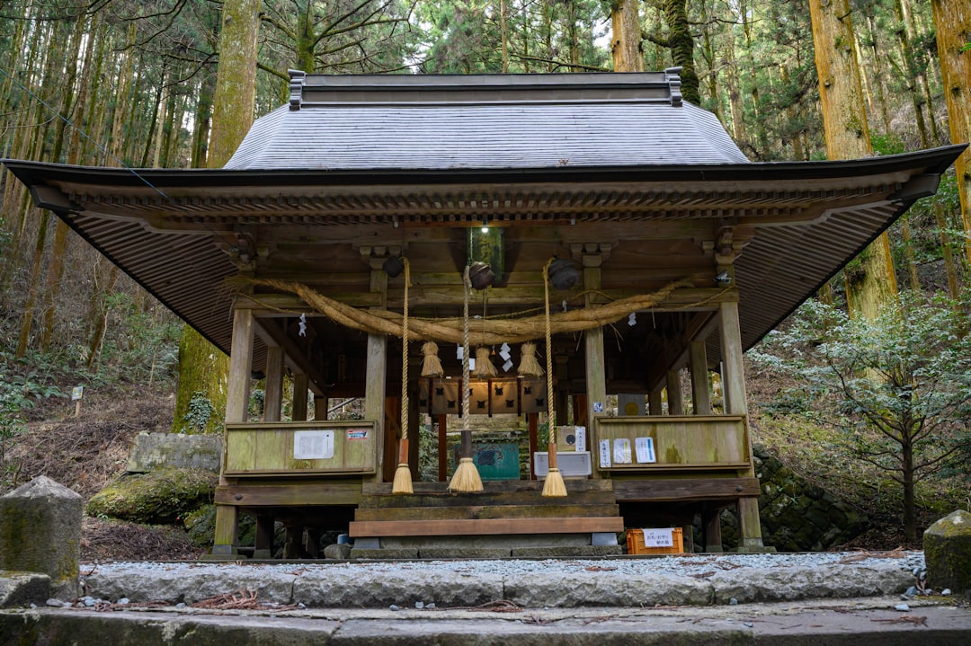 El Sumiyoshi Taisha de Osaka es uno de los santuarios más antiguos de Japón. - Kita, Osaka | Secret World Trip Planner