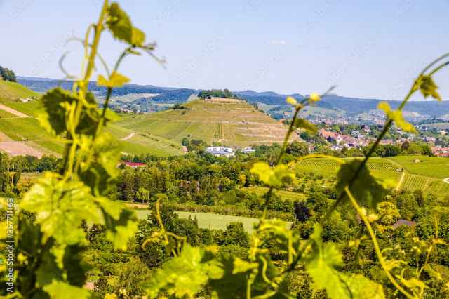 Weinsberg : La ville de la loyauté légendaire et du vin intemporel - Weinsberg | Secret World Trip Planner
