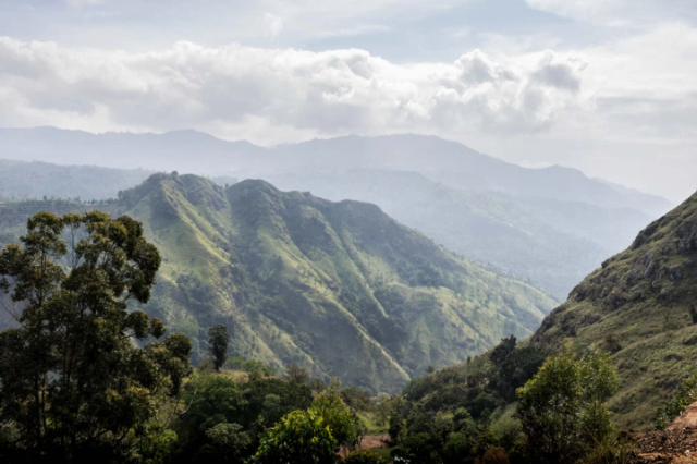 A la découverte d'Ella : le joyau caché du Sri Lanka au cœur de la région des collines - Ella | Secret World Trip Planner